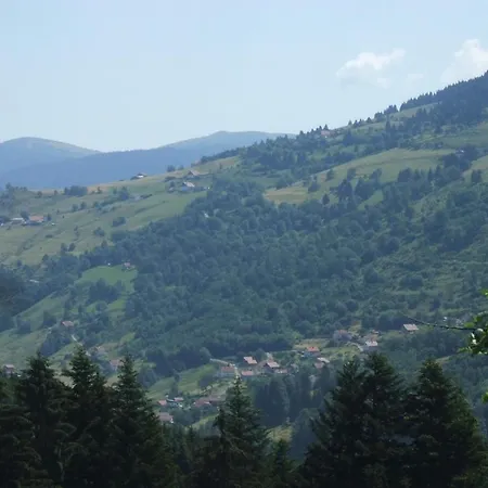 La Ferme Du Vieux Sapin La Bresse