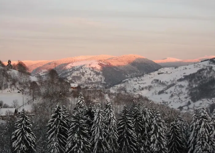 Nocleg ze śniadaniem La Ferme Du Vieux Sapin 3*