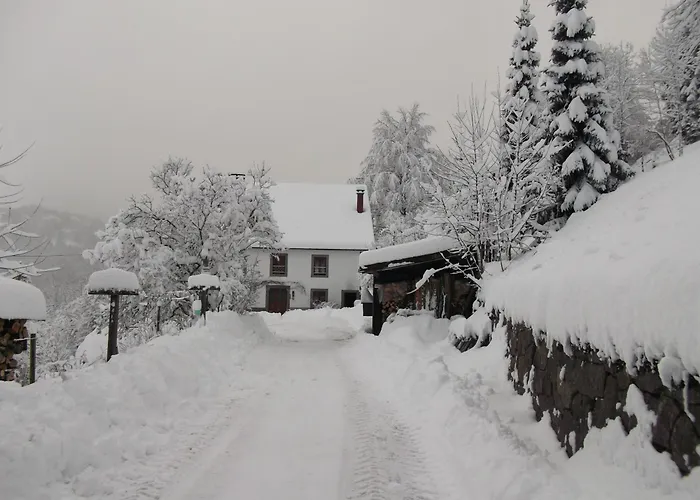 Nocleg ze śniadaniem La Ferme Du Vieux Sapin