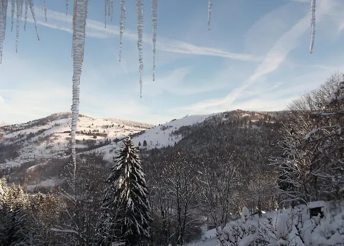 Bed and Breakfast La Ferme Du Vieux Sapin 3*