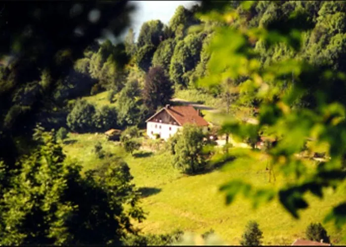 Nocleg ze śniadaniem La Ferme Du Vieux Sapin